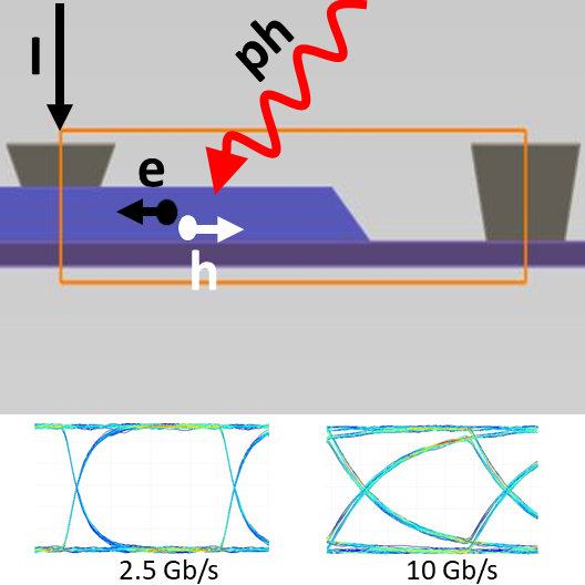 cover_picture_vertical_photodetector.png